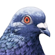 Pigeon logo