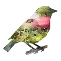 Robin logo